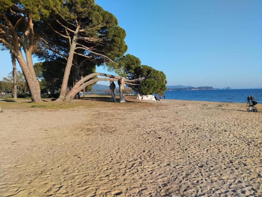 2 Pieces * La Londe-les-Maures